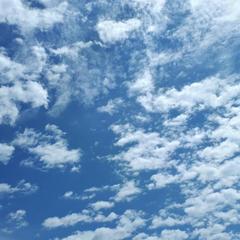 Гостевой дом Агава, Лоо, Краснодарский край