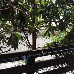 Гостевой дом Волна, Лоо, Краснодарский край