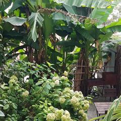 Гостевой дом Волна, Лоо, Краснодарский край