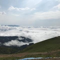 Гостевой дом Южная Рапсодия, Лоо, Краснодарский край