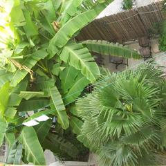 Гостевой дом Волна, Лоо, Краснодарский край