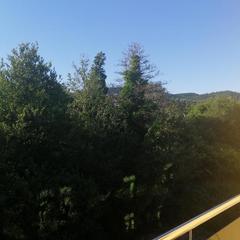 Гостевой дом Южная Рапсодия, Лоо, Краснодарский край