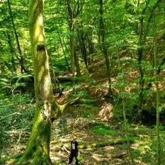 Гостевой дом Бережок, Лоо, Краснодарский край