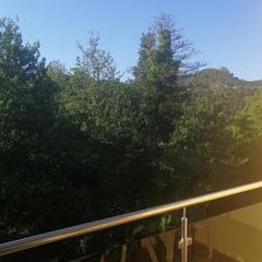 Гостевой дом Южная Рапсодия, Лоо, Краснодарский край