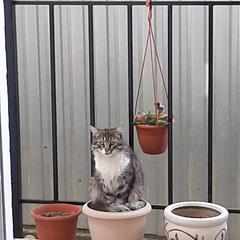 Гостевой дом Бережок, Лоо, Краснодарский край