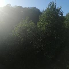 Гостевой дом Южная Рапсодия, Лоо, Краснодарский край