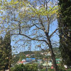 Гостевой дом Бережок, Лоо, Краснодарский край