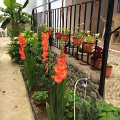 Гостевой дом Бережок, Лоо, Краснодарский край