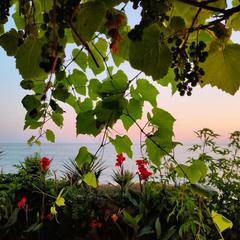 Гостевой дом Эллинг Солнечный, Лоо, Краснодарский край