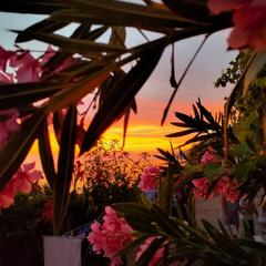 Гостевой дом Эллинг Солнечный, Лоо, Краснодарский край