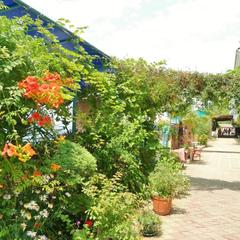 Гостевой дом Эллинг Солнечный, Лоо, Краснодарский край