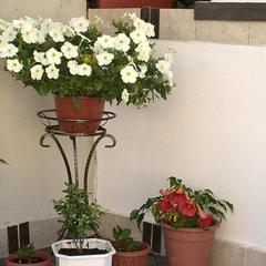 Гостевой дом Volgar, Лоо, Краснодарский край