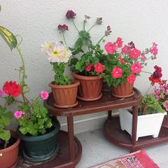 Гостевой дом Volgar, Лоо, Краснодарский край