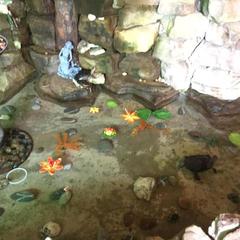 Гостевой дом Простор, Лоо, Краснодарский край