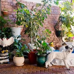 Гостевой дом Галина, Лоо, Краснодарский край