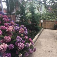 Гостевой дом Якорь, Лоо, Краснодарский край