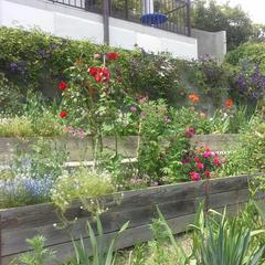 Гостевой дом Простор, Лоо, Краснодарский край