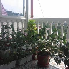 Гостевой дом Простор, Лоо, Краснодарский край