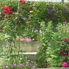 Гостевой дом Простор, Лоо, Краснодарский край