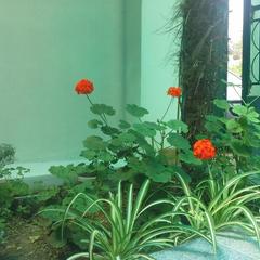 Гостевой дом Простор, Лоо, Краснодарский край