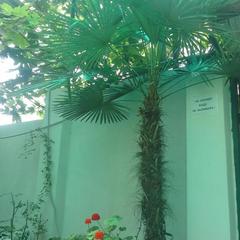 Гостевой дом Простор, Лоо, Краснодарский край