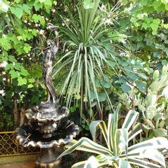 Гостевой дом Якорь, Лоо, Краснодарский край