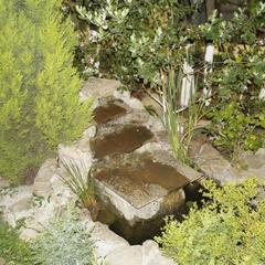 Гостевой дом Аквариум Лоо, Лоо, Краснодарский край