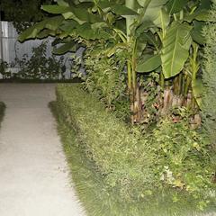 Гостевой дом Аквариум Лоо, Лоо, Краснодарский край