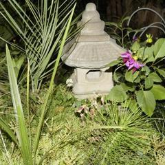 Гостевой дом Аквариум Лоо, Лоо, Краснодарский край