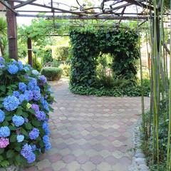 Гостевой дом У Владимира, Лоо, Краснодарский край