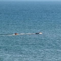 Гостевой дом У Владимира, Лоо, Краснодарский край