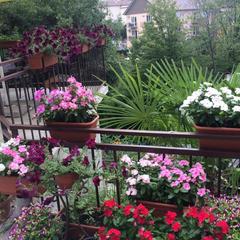 Гостевой дом У Артура, Лоо, Краснодарский край