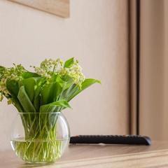 Гостевой дом Родина, Лоо, Краснодарский край