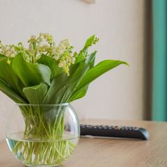 Гостевой дом Родина, Лоо, Краснодарский край