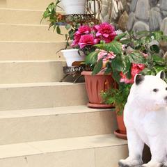 Гостевой дом Уютный Причал, Лоо, Краснодарский край