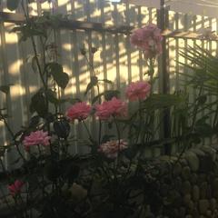 Гостевой дом Уютный Причал, Лоо, Краснодарский край