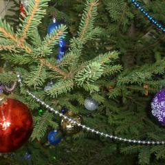 Гостиничный комплекс Усадьба, Лотошино, Московская область