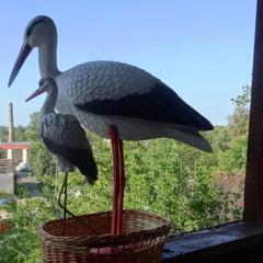 Отель У Лысой горы, Луга, Ленинградская область