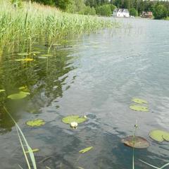Загородный отель Сахалин, Луга, Ленинградская область