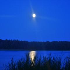 Загородный отель Сахалин, Луга, Ленинградская область