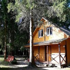 База отдыха Охотник и рыболов, Лужский район, Ленинградская область