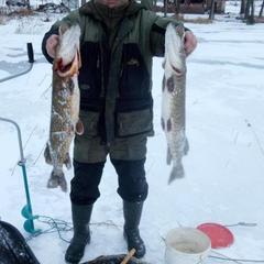 Загородный дом Загородный дом Хутор Скреблово, Луга, Ленинградская область