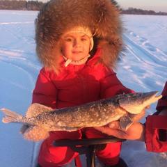 Загородный дом Загородный дом Хутор Скреблово, Луга, Ленинградская область