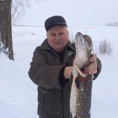 Загородный дом Загородный дом Хутор Скреблово, Луга, Ленинградская область