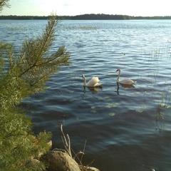 Загородный дом Загородный дом Хутор Скреблово, Луга, Ленинградская область