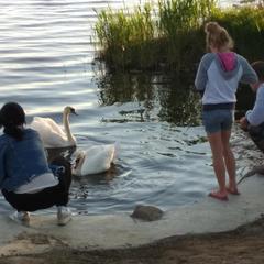 Загородный дом Загородный дом Хутор Скреблово, Луга, Ленинградская область