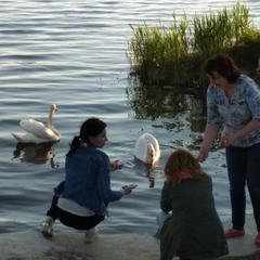 Загородный дом Загородный дом Хутор Скреблово, Луга, Ленинградская область