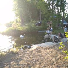 Загородный дом Загородный дом Хутор Скреблово, Луга, Ленинградская область