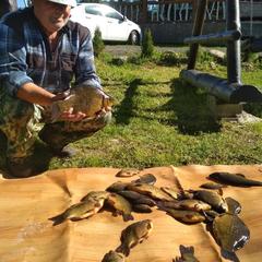 Загородный дом Загородный дом Хутор Скреблово, Луга, Ленинградская область