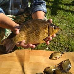 Загородный дом Загородный дом Хутор Скреблово, Луга, Ленинградская область